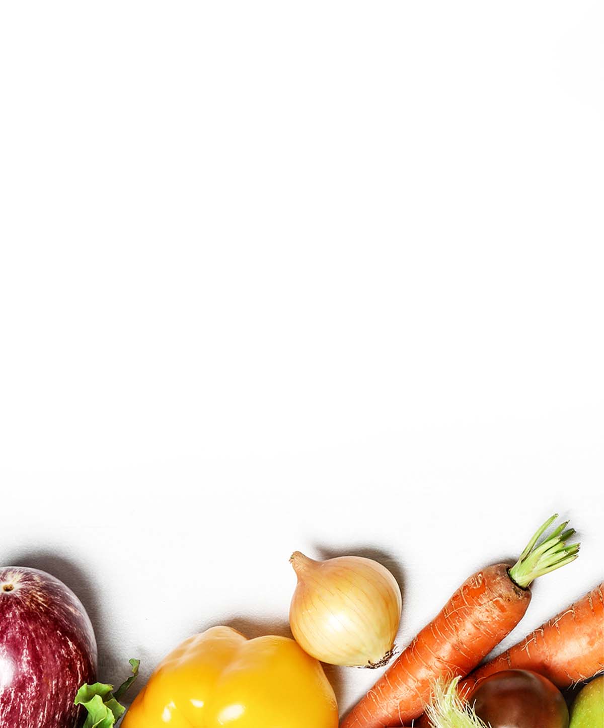 banner-1