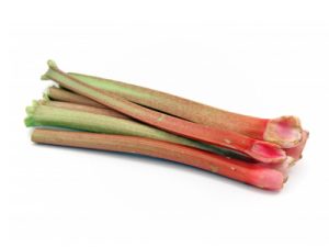 Holland Rhubarb