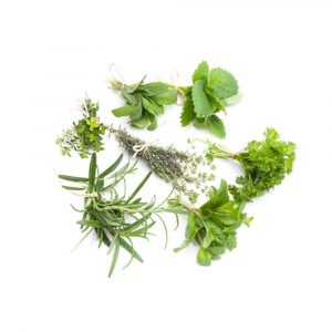 Cresci Farms Herbs