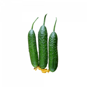Cucumbers from Cassidy Farms