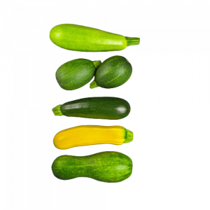 Squashes from Cassidy Farms