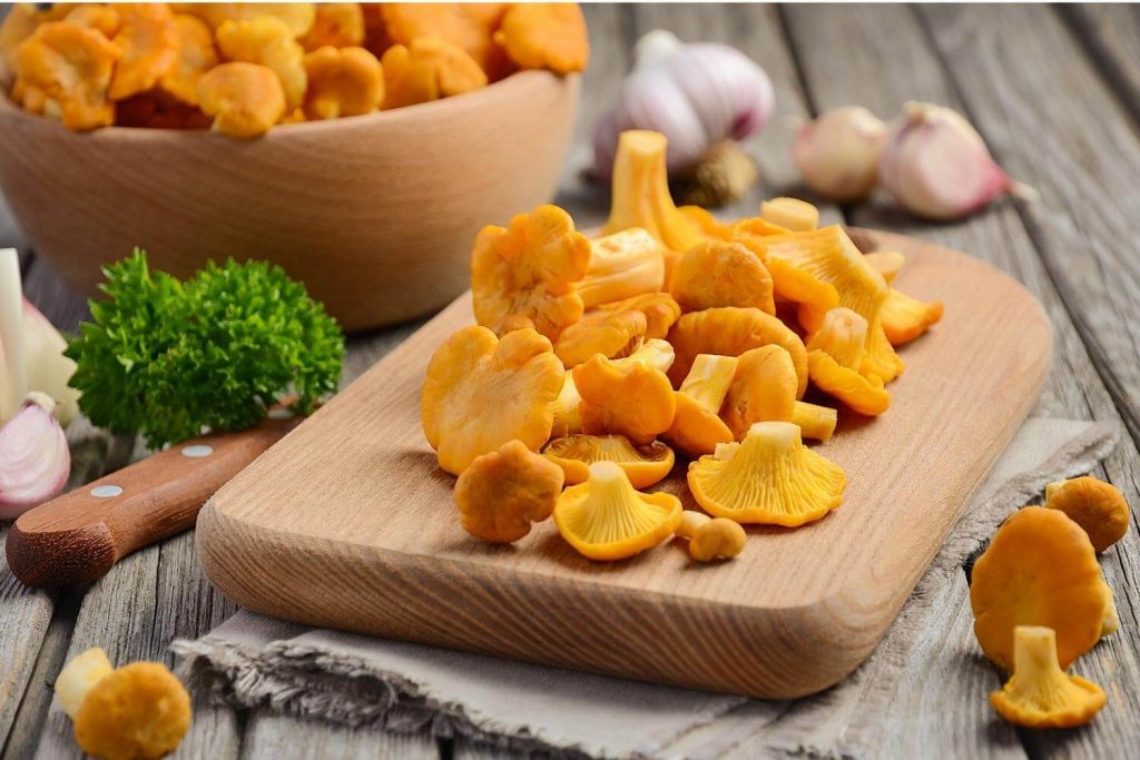 chanterelle