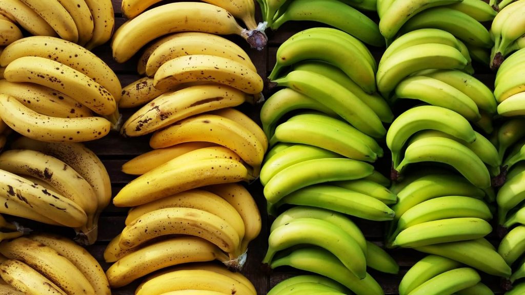 Bananas and Plantains What's the difference? Riviera Produce