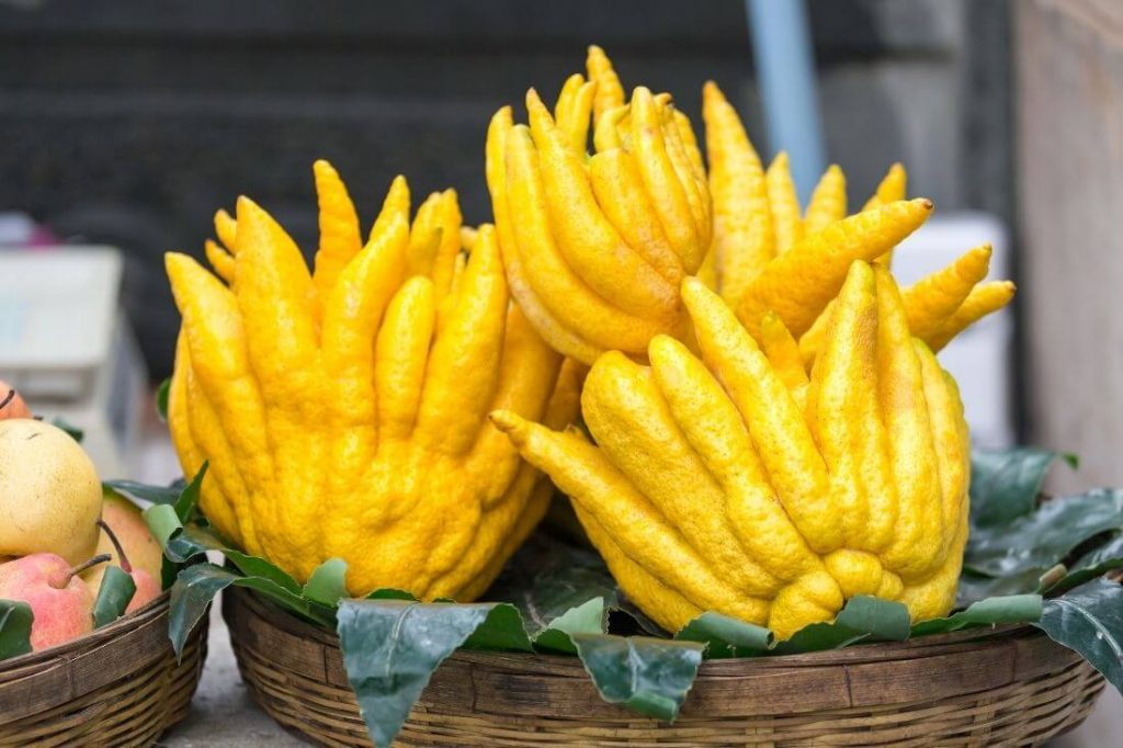 buddhas hand