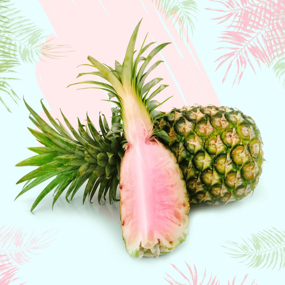 What Is A Pink Pineapple - Pink Pineapple Fruit Facts