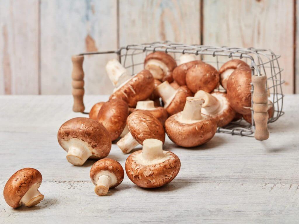 mushroom delivery