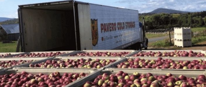 Pavero Apple Farms