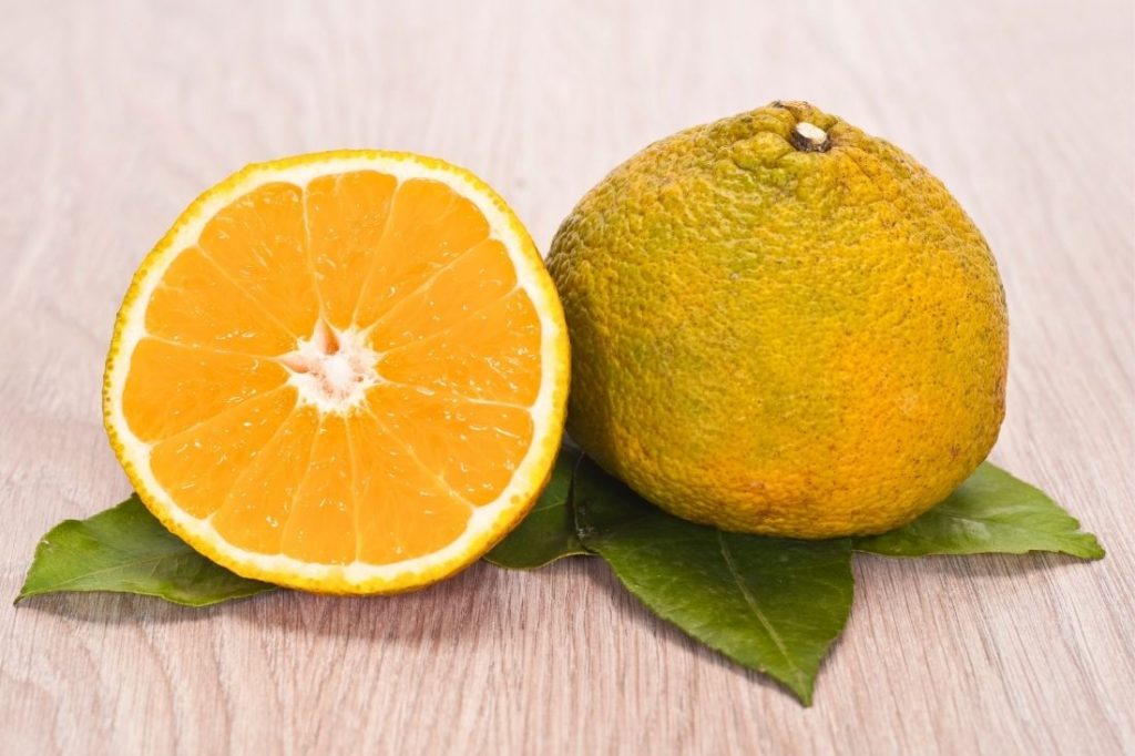 ugli fruit