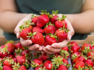 strawberries nutrition and health benefits