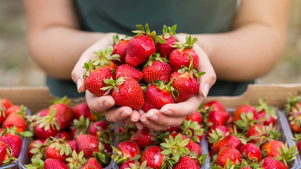 strawberries nutrition and health benefits