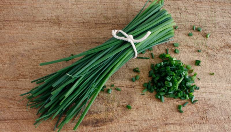 Chives