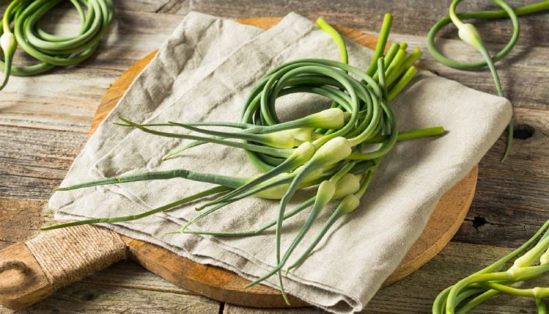 Garlic scapes