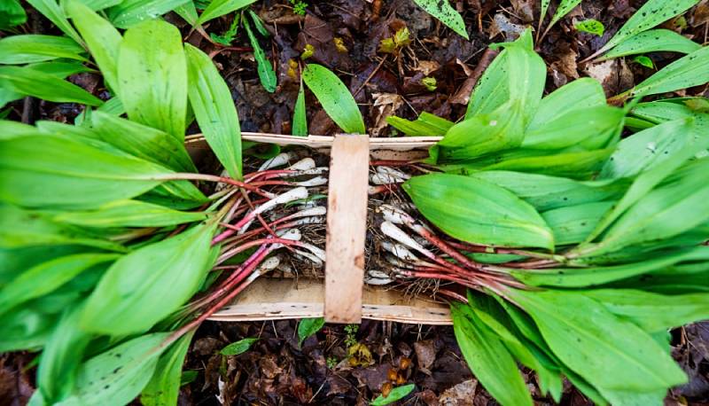 Ramps