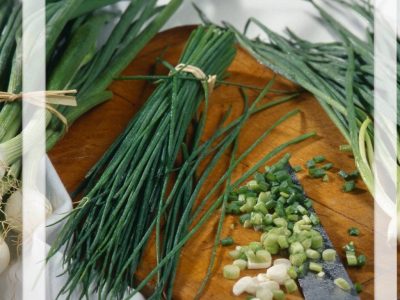 alliums