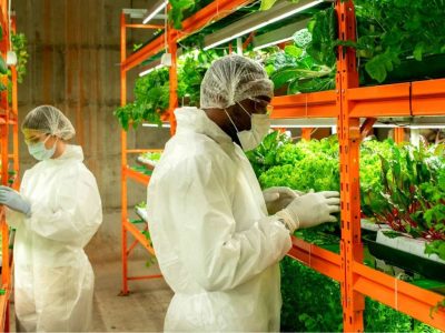 vertical farms