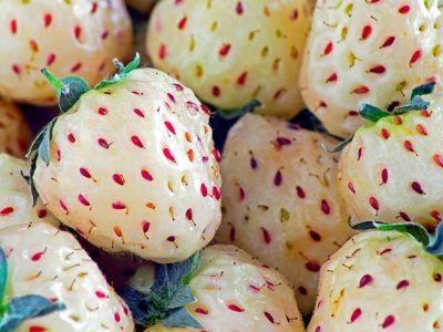 pineberries