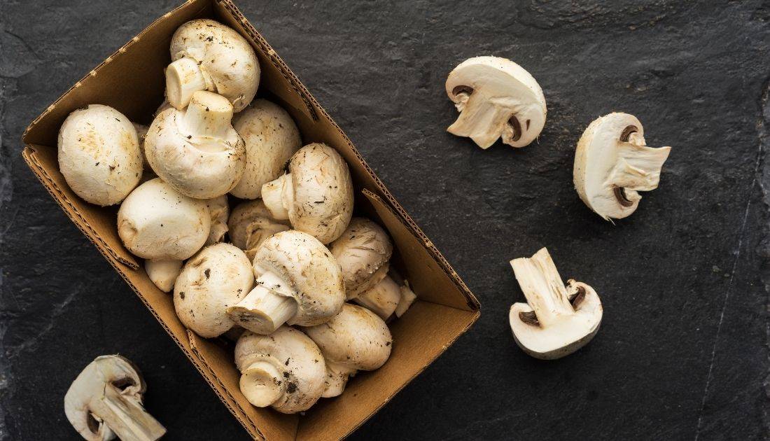 mushroom varieties