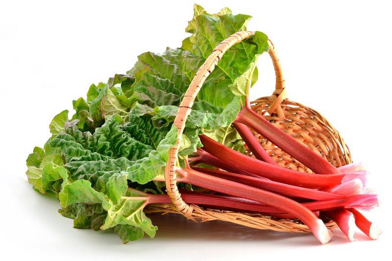 Riviera RhubarbFruitOrVegetable