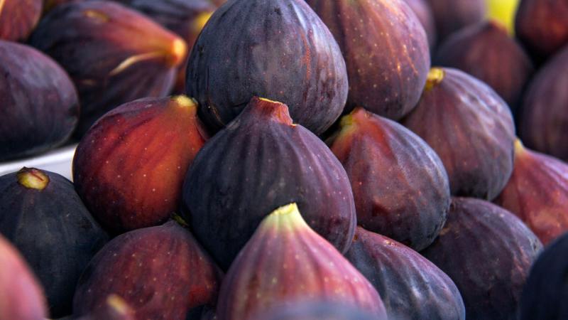 Riviera Figs Wholesale