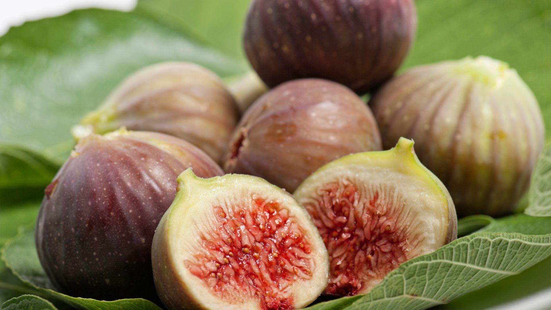 Riviera Figs