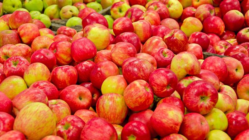 Riviera Wholesale Apples