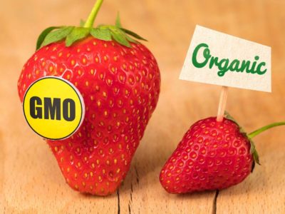 Riviera-Organic-vs-GMO