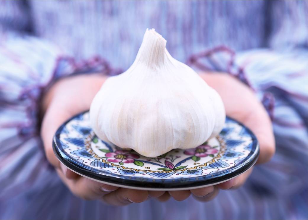 White Garlic