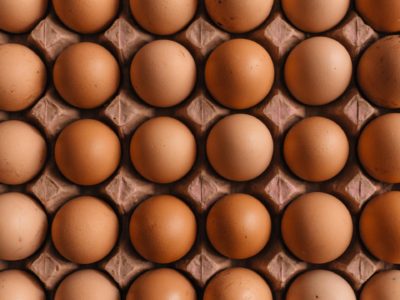 wholesale eggs