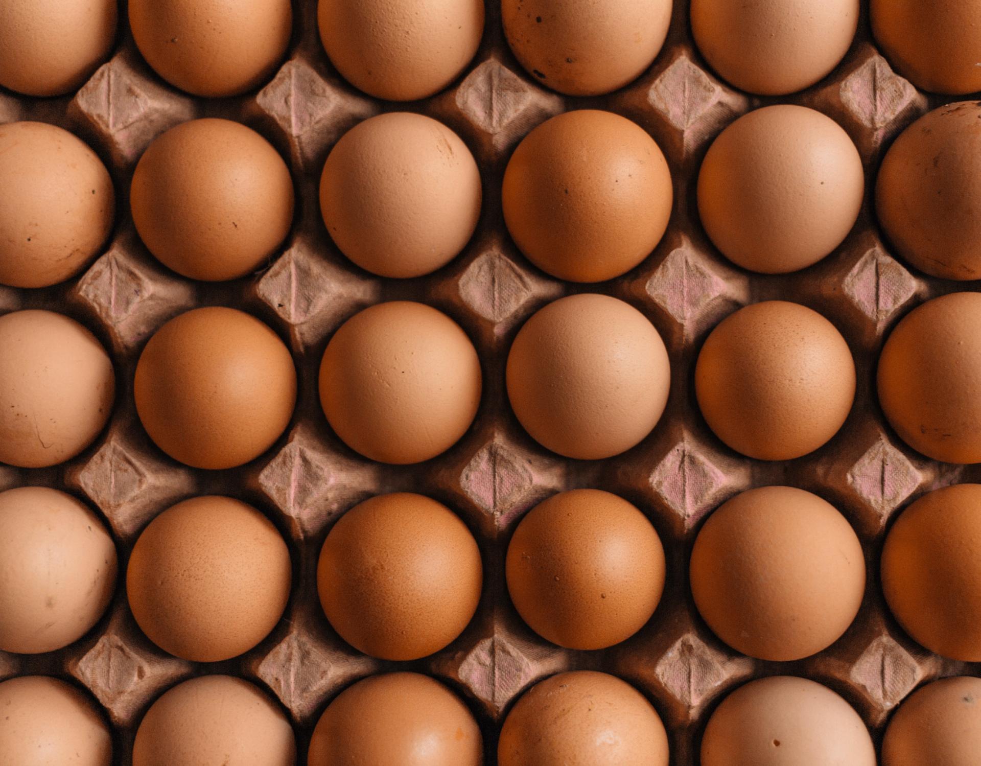 wholesale eggs