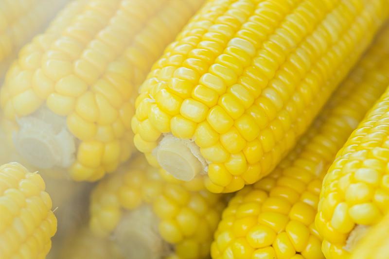 corn shortage 2023