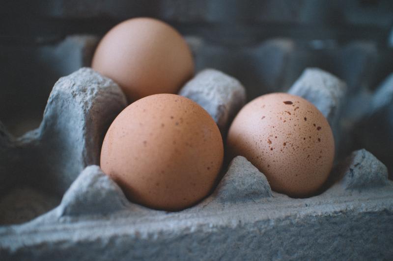 Egg Shortage