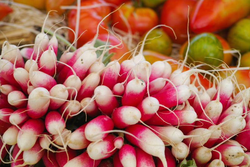 Fresh Wholesale Radish