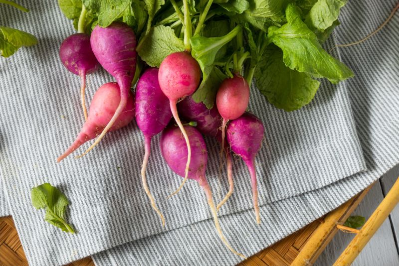 Types of Radish 2