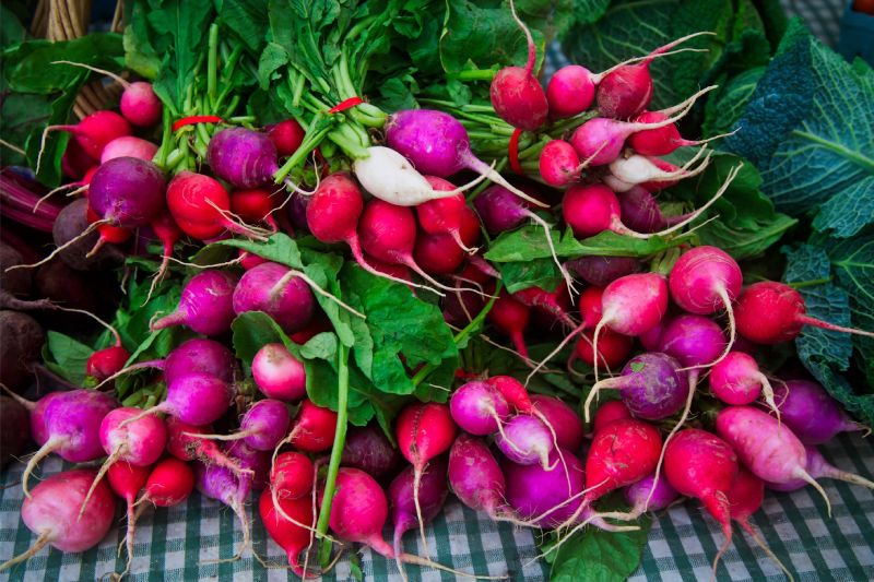 local Radishes