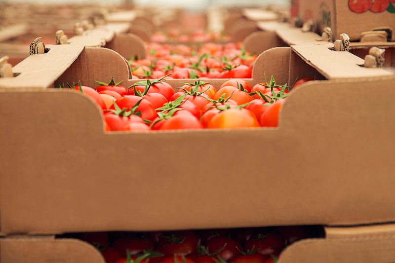 Why are Reliable Food Suppliers Important
