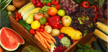 fruits vegetables rv