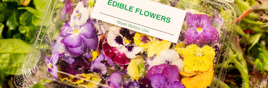 wholesale edible flowers