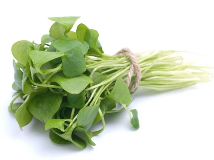 Purslane