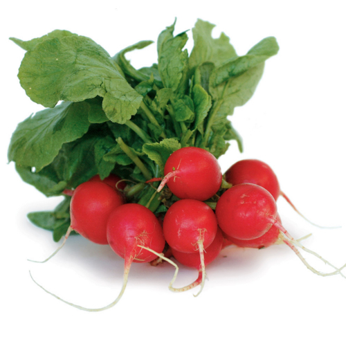 Radish Bunches