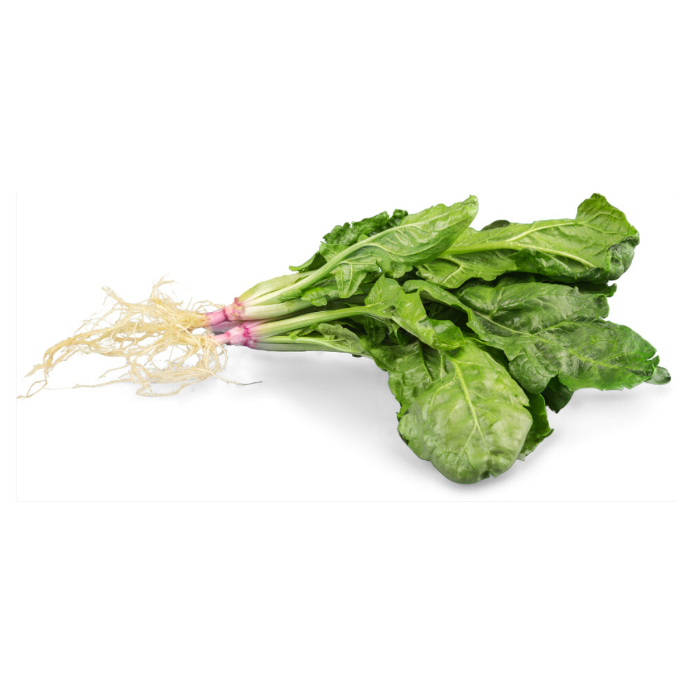 Spinach Root