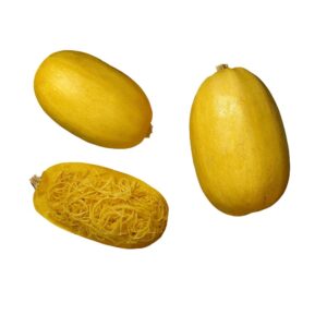 Squash Butternut 40 LB
