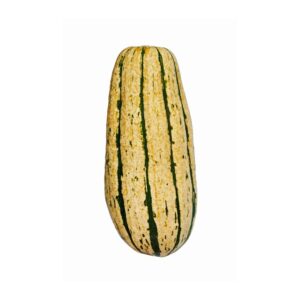 Squash Delicata 20 LB