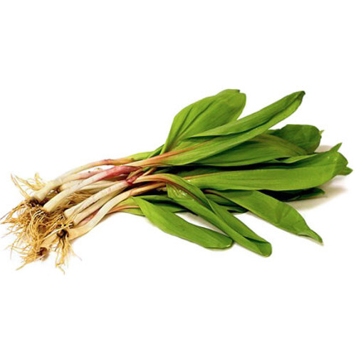 Ramps