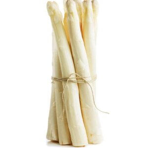 White Holand Asparagus XXL
