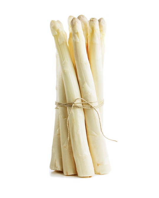 White Holand Asparagus XXL