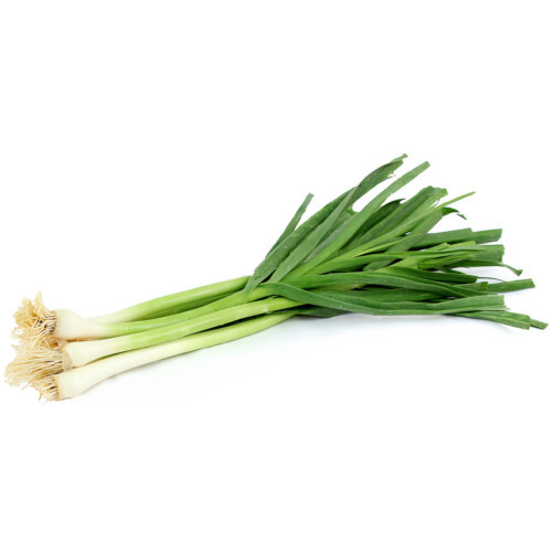 Spring Garlic