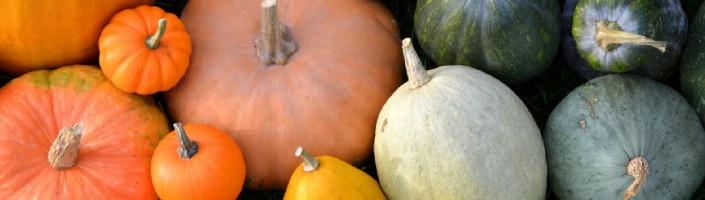 riviera autumn img