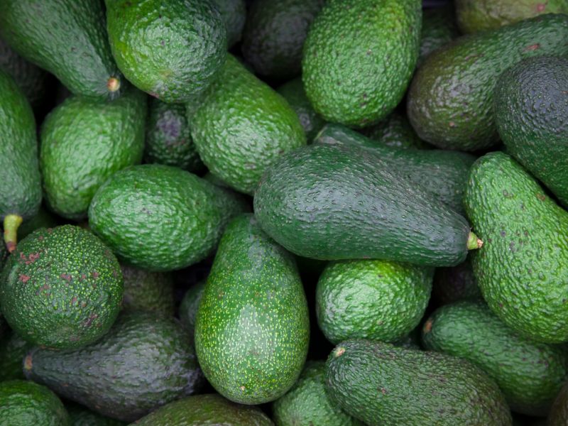 avocado-group-RP-blog avocado group RP blog