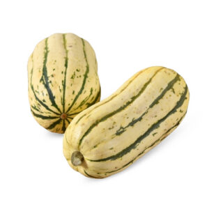 Delicata Squash